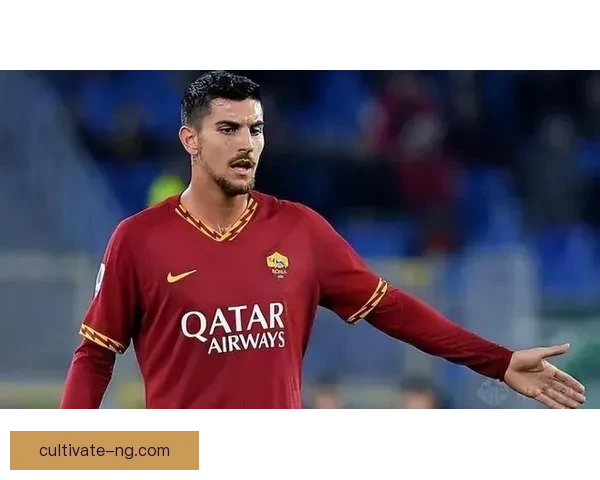 罗马俱乐部最新动态：未来规划与球员转会的深度分析与展望