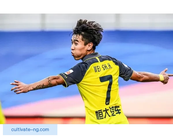 维罗纳俱乐部迎来赛季关键转折多线布局引发球迷热议前景备受关注