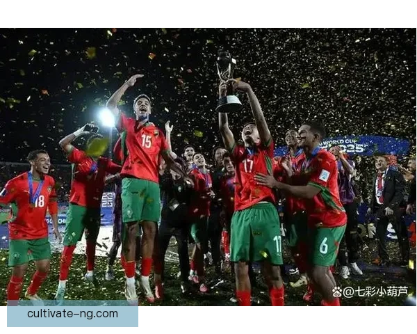 世界杯小组赛爆冷连连,多队黑马逆袭引发全球关注 世界杯小组赛爆冷连连,多队黑马逆袭引发全球关注
