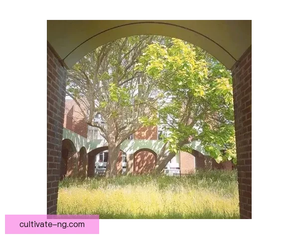 布莱顿俱乐部发展历程与城市文化融合探究与展望