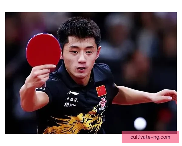 张继科现身网球赛场观看比赛 引发网友热议与现场观众互动积极