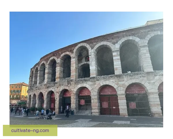 维罗纳俱乐部历史沿革与当代发展全景解析 维罗纳俱乐部历史沿革与当代发展全景解析