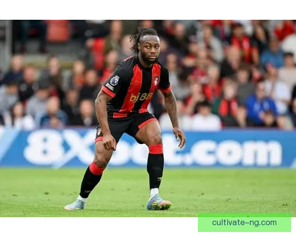 伯恩茅斯俱乐部宣布新签约球员并公布最新赛季目标