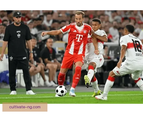 拜仁慕尼黑最新动态：球队备战新赛季阵容调整解析