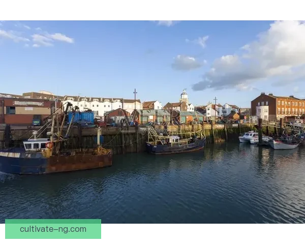 朴茨茅斯俱乐部发展历程与荣耀成就全景解析