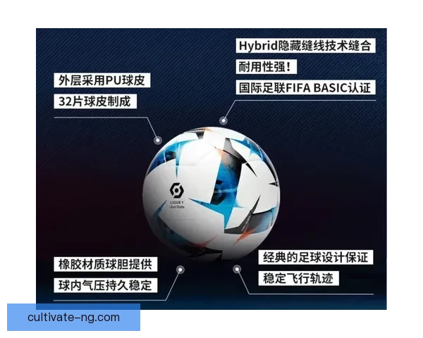 法甲比赛让球深度解析与赛果趋势全面分析