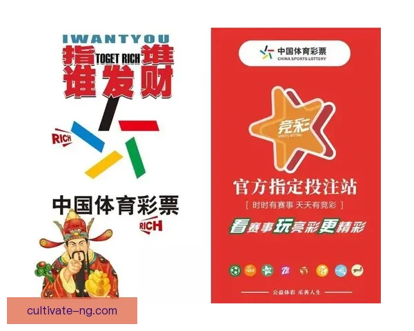 2026世界杯精彩赛事全程直播即时比分与赛况实时更新
