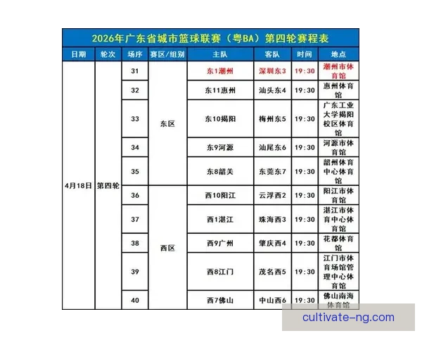 最新篮球联赛积分榜全面解析各队排名走势与胜负形势