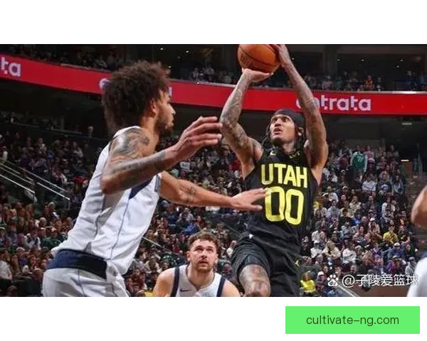 独行侠视角下东契奇与欧文球权分配效率对比分析